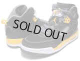 【NIKE】 AIR JORDAN SPIZIKE (30cm - US12)