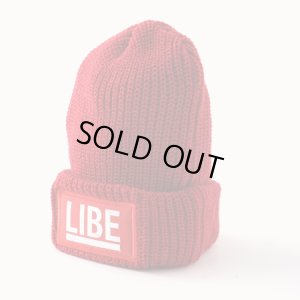 画像1: 【LIBE BRAND】 BIG LOGO KNIT CAP (WIN)