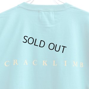 画像4: 【CRACKLIMB】 FAR SOUTH SIDE TEE (A.GRN)