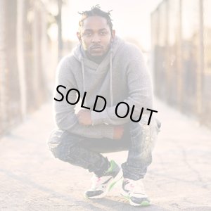 画像8: 【Reebok】 Reebok CLASSIC VENTILATOR OG (訳あり品)