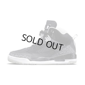 画像2: 【NIKE】 NIKE AIR JORDAN SPIZ'IKE