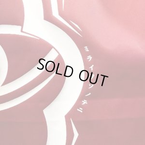 画像6: 【CRACKLIMB】 ONE HAND NYLON JACKET (WIN)