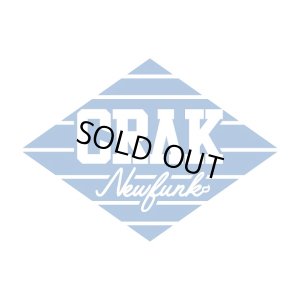 画像8: 【CRACKLIMB】 DENIM CAMO JACKET