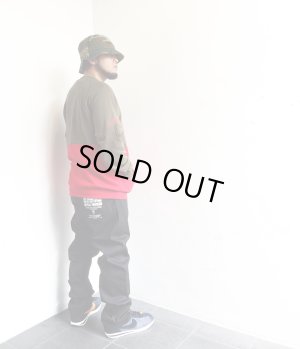 画像11: 【CROOKS&CASTLES】 CAPITAL SWEAT