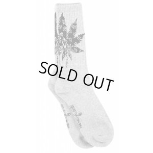 画像1: 【CROOKS&CASTLES】 PAISLEAF SOCKS