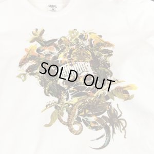 画像2: 【CROOKS&CASTLES】 MEDUSA CREW TEE