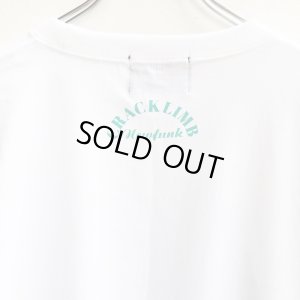 画像4: 【CRACKLIMB】 HAL LONG TEE (WHITE)