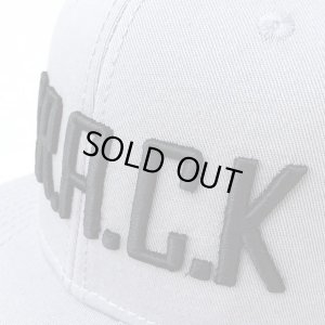 画像3: 【CRACKLIMB】 CRACK SNAPBACK CAP (GRAY)