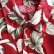 画像3: Botanical Aloha Shirt (RED)