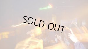 画像7: 【CRACKLIMB】Honey Bee TEE / NEWFUNK 8th Anniversary (Orange)