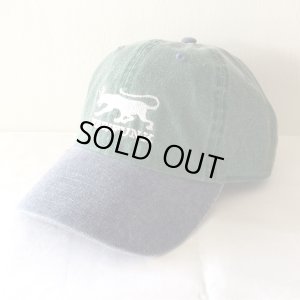 画像1: 【CRACKLIMB】BLACK PANTHER 6 PANEL CAP (GREEN)