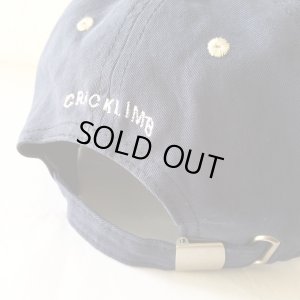 画像6: 【NEWFUNK】’17 NEWFUNK LOGO 6 PANEL CAP (NV/KK)