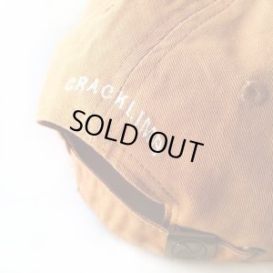 画像6: 【NEWFUNK】NF TAG 6 PANEL CAP (BROWN)