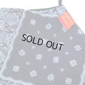 画像3: 【NEWFUNK】PAISLEY MASK [クールメッシュ] (B)