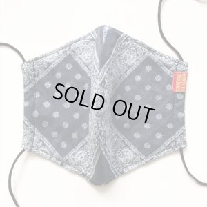 画像2: 【NEWFUNK】PAISLEY MASK [クールメッシュ] (D)