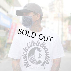 画像4: 【NEWFUNK】PAISLEY MASK [クールメッシュ] (D)