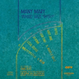 画像2: YAMATO HAZE『MANY MARY』