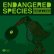 画像1: WINP × LYNIR 『ENDANGERED SPECIES』(CD-R) (1)