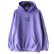 画像1: 【NEWFUNK】LOGO HOODIE (LT-PURPLE) (1)