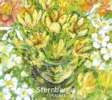 TORAUMA 『Sternbergia』