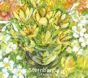 画像1: TORAUMA 『Sternbergia』