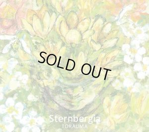 画像1: TORAUMA 『Sternbergia』