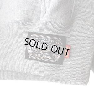 画像3: 【NEWFUNK】COLLEGE LOGO HOODIE (Gray)