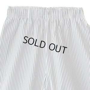 画像3: 【NEWFUNK】Easy Pants (Hickory)