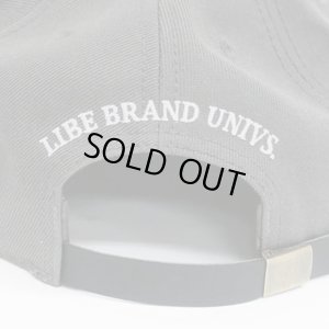 画像4: 【LIBE BRAND】REALIBE BB CAP (Grey x Black)