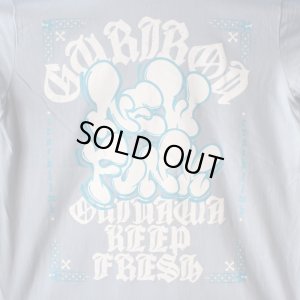 画像5: 【NEWFUNK】GRRN LONG SLEEVE SHIRT (Smoky Blue)