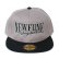 画像2: 【NEWFUNK】NFO SNAPBACK CAP (GY/BK) (2)