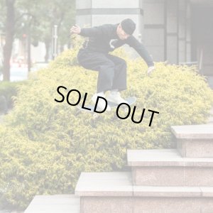 画像9: NIKE SB DUNK LOW "Coconut Milk"