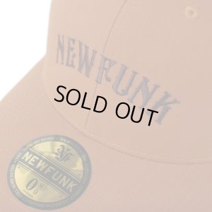 画像4: 【NEWFUNK】SPICY MESH CAP (Brown)