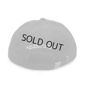 画像2: NORIKIYO 'THE GROWER'S CLUB' CAP