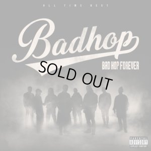 画像2: BAD HOP 『FOREVER (ALL TIME BEST)』[4LP+オリジナル・スリップマット]＜完全生産限定盤+ステッカー付き＞