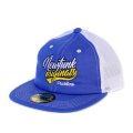 【NEWFUNK】Bee Mesh Cap (Blue/White)