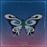 Steelsip × rihaku 『YURAMEKI』