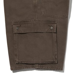 画像5: 【Levi's】Buggy Cargo Shorts (Brown)