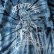画像4: 【NEWFUNK】SIBA "MARIA" TIE DYE TEE (Navy) (4)