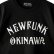 画像3: 【NEWFUNK】OKINAWA TEE (Black) (3)