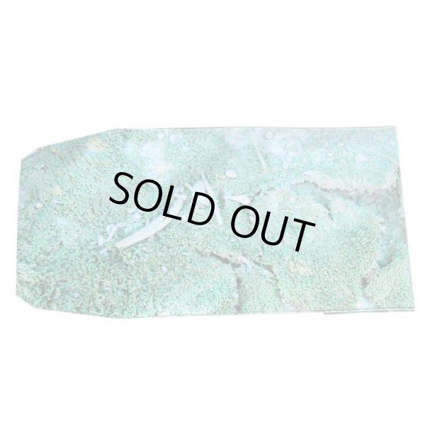 画像3: 【ZAKAI】 KRESS BOOKCOVER 文庫本サイズ [011] (3)