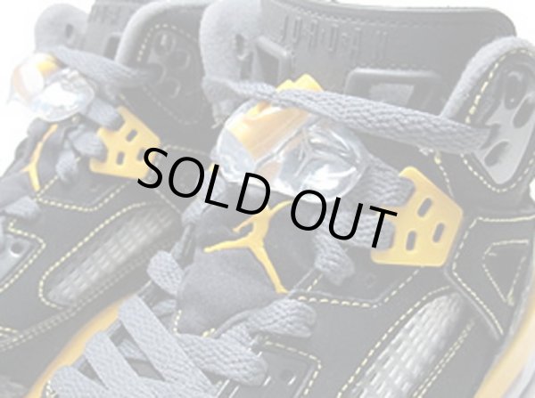 画像3: 【NIKE】 AIR JORDAN SPIZIKE (30cm - US12) (3)