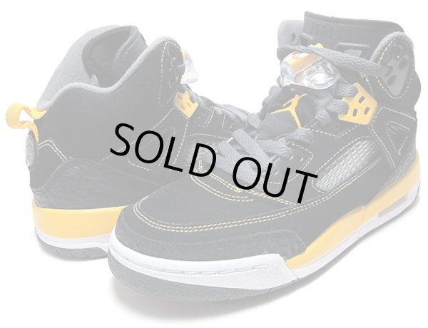 画像1: 【NIKE】 AIR JORDAN SPIZIKE (30cm - US12) (1)