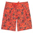 画像1: 【CROOKS&CASTLES】 CHAINLEAF BOARD SHORT (RED) (1)