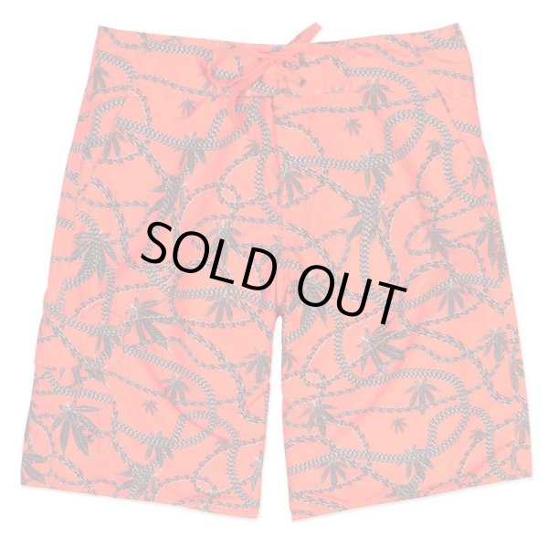 画像1: 【CROOKS&CASTLES】 CHAINLEAF BOARD SHORT (RED) (1)