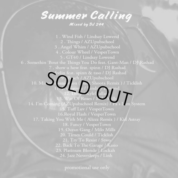 画像2: DJ 244 『Summer Calling』 (CD-R) (2)