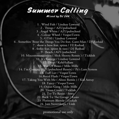 画像2: DJ 244 『Summer Calling』 (CD-R)