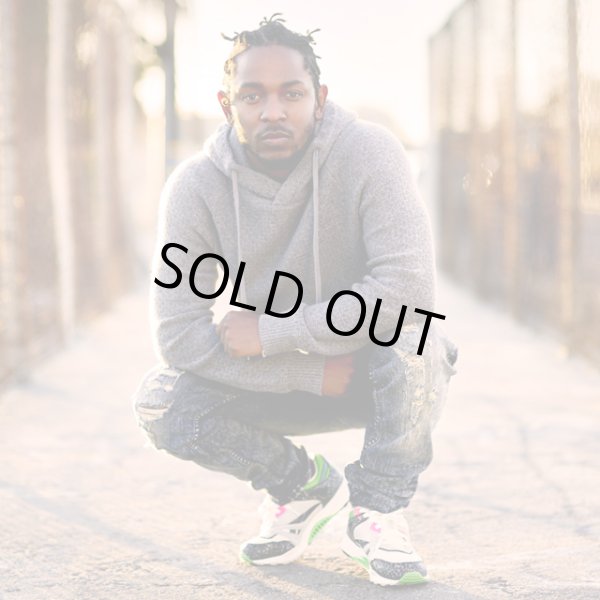 画像8: 【Reebok】 Reebok CLASSIC VENTILATOR OG (訳あり品) (8)