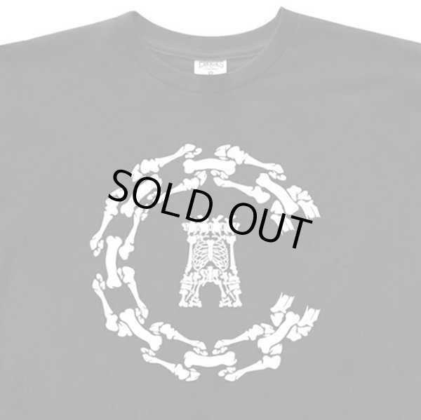 画像3: 【CROOKS&CASTLES】 BONEZ CHAIN C TEE (3)