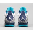 画像3: 【NIKE】 NIKE AIR JORDAN SON OF MARS LOW (3)